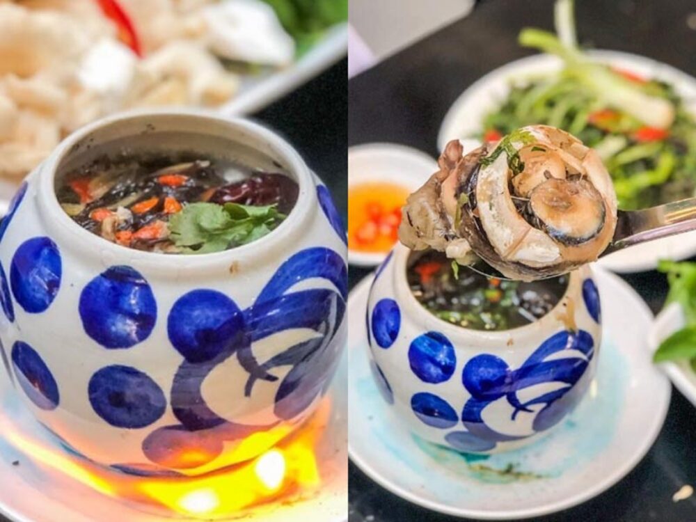 Mắt Cá Ngừ Đại dương Phú Yên